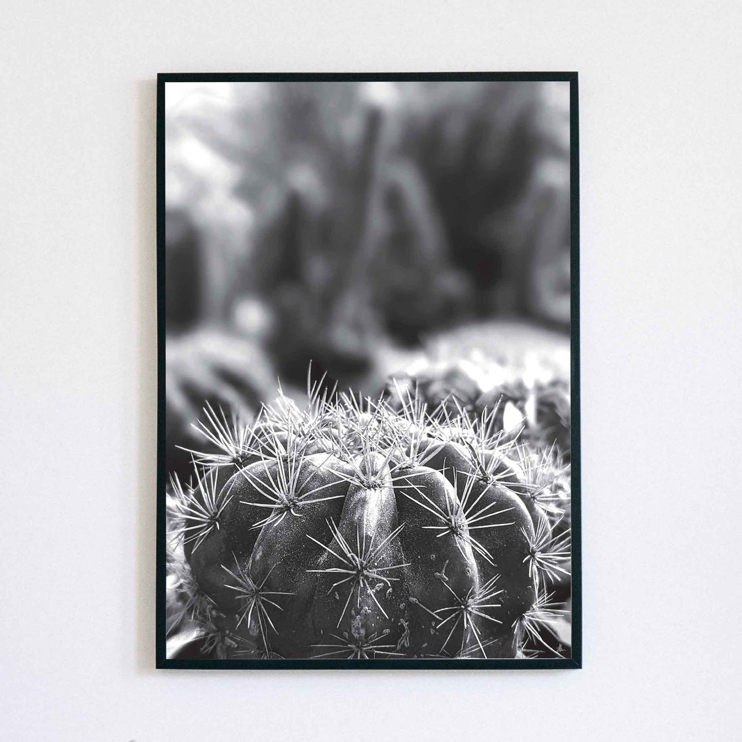 Monochrome Cactus