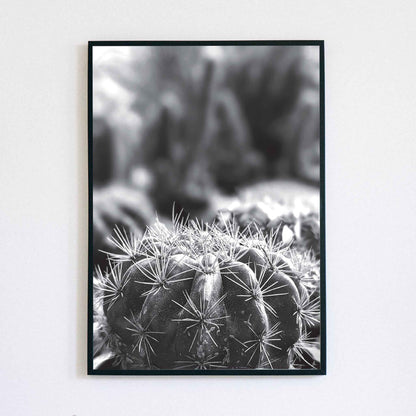 Monochrome Cactus