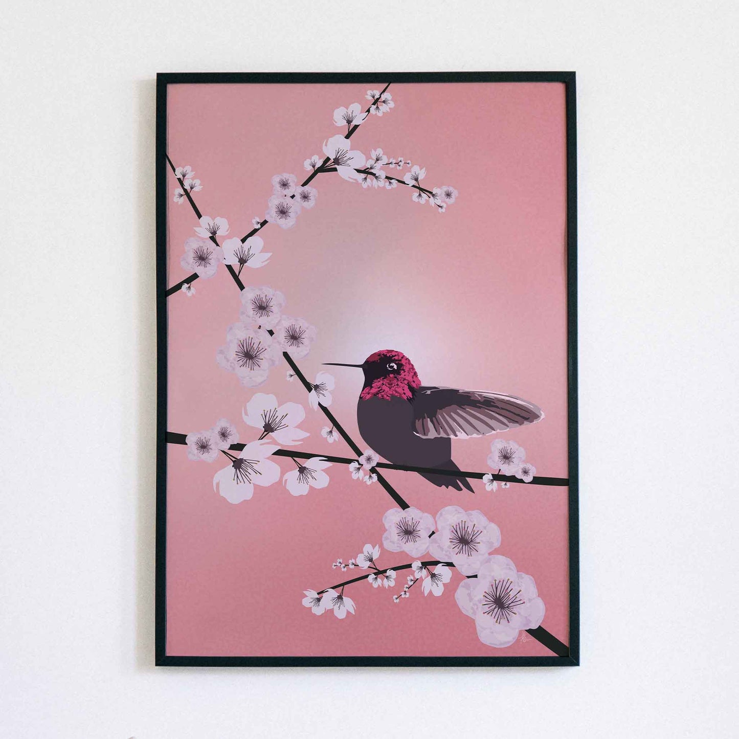 Hummingbird and Cherry Blossoms