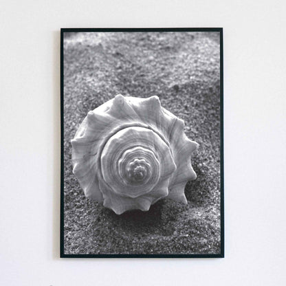 Monochrome Shell